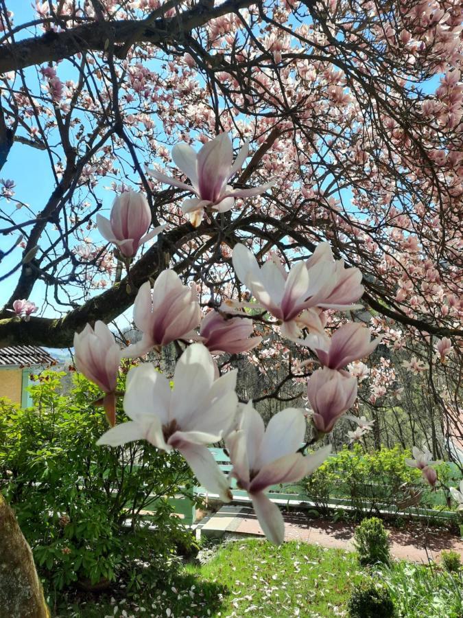 Appartamento Rottgarten Gelnhausen Esterno foto