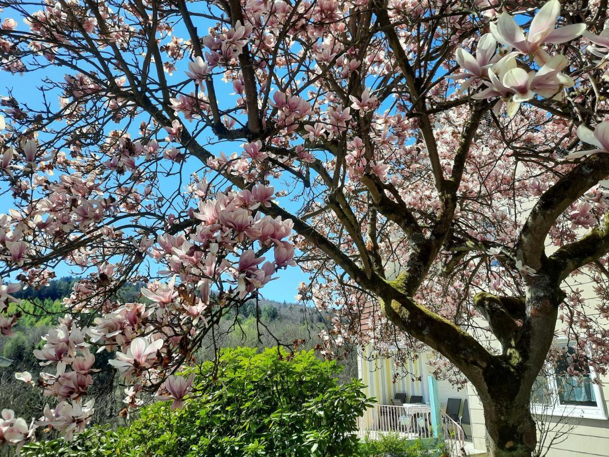 Appartamento Rottgarten Gelnhausen Esterno foto