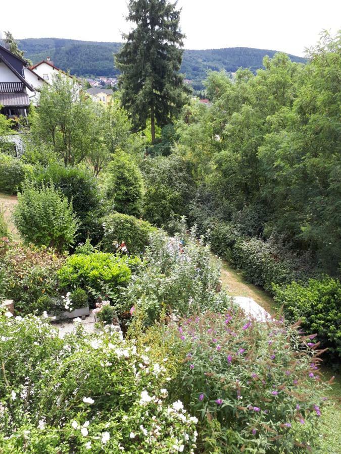 Appartamento Rottgarten Gelnhausen Esterno foto