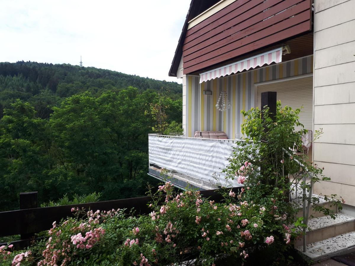 Appartamento Rottgarten Gelnhausen Esterno foto